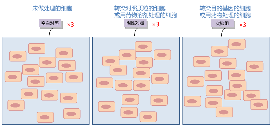 24.png
