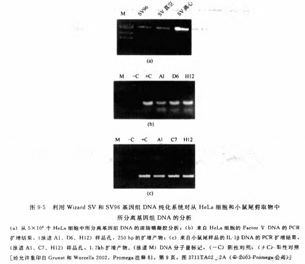 B1440403110png_small.jpg