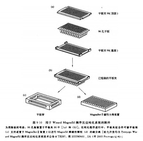 B1440489120png_small.jpg