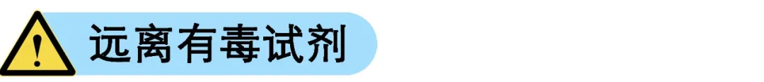 254.png