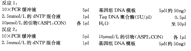 等位基因特异性PCR