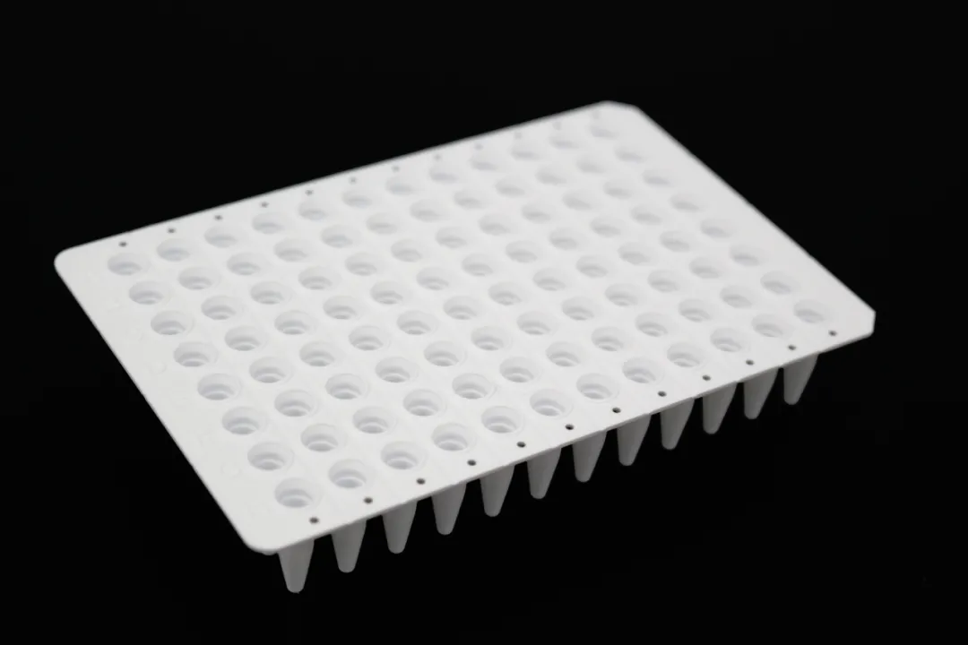 5202.png