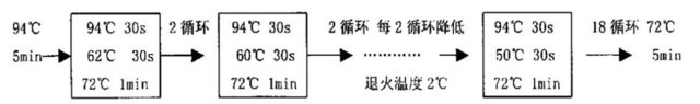 降落 PCR基本方案