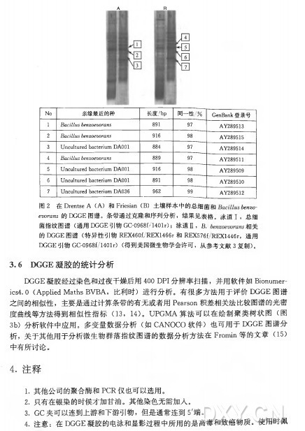 图 2 在 Drentse A ( A ) 和 Friesian (B) 土壤样本中的总细菌和 6en2： oeTO rans的 DGGE图 谱 。条 带 通 过 克 隆 和 序 列 分 析 ，结 果 见 表 格 。泳 道 工 ，总细 菌 指 纹 图 谱 （ 通 用 DGGE引 物 GC-0968f/1401r) ; 泳 道 n ， B. 相关 的 DGGE 图 谱 （ 特 异 性 引 物 REX460f/REX1466i•和 REX576f, REX1446i• ，通用 DGGE引 物 GC-0968f/1401r)(得 到 美 国 微 生 物 学 会 许 可 ，从 参 考 文 献 3 复 制 ） 。 3.6 DGGE凝胶的统计分析 D G G E 凝胶经过染色和过夜干燥后用400 D P I 分辨率扫描，并用软件如极〇 1^!11«- ics4. O (Applied M a ths B V B A ，比利时）进行分析。有很多方法用于评价D G G E 图谱 之间的相似性，主要是通过计算条带的有无或者用Pearson积差相关法比较图谱的光密 度 曲 线 等方法得到相似性指标（13, 14)。 U P G M A 算 法 可 以 在 绘 制 聚 类 树 状 图 （ 图 3b ) 分析软件中应用。多 变 量 数 据 分 析 （ 如 C A N O C ◦ 软件）也 可 用 于 D G G E 图谱分 析 ，关于其他用于分析微生物群落指纹图谱的数据分析方法在F r o m i n 等 的 文 章 （15) 中有所讨论。 4 . 注释 1 . 其他公司的聚合酶和P C R 仪也可以选用。 .2.只有在银染的时候才加甘油。 ; 其他染色无需加入。 3. G C 夹可以连到上游和下游引物，但是通常连到5 '端 。 4 . 注意 ：在 D G G E 凝胶的电泳和显影过程中所用的是高毒和致癌物质。使用时佩