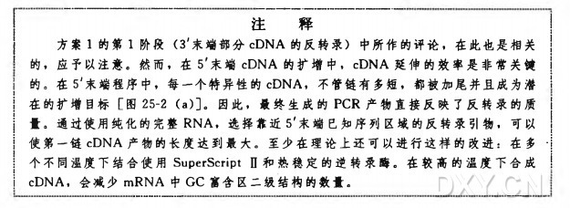 用经典 RACE 扩增 cDNA 的5’末端实验