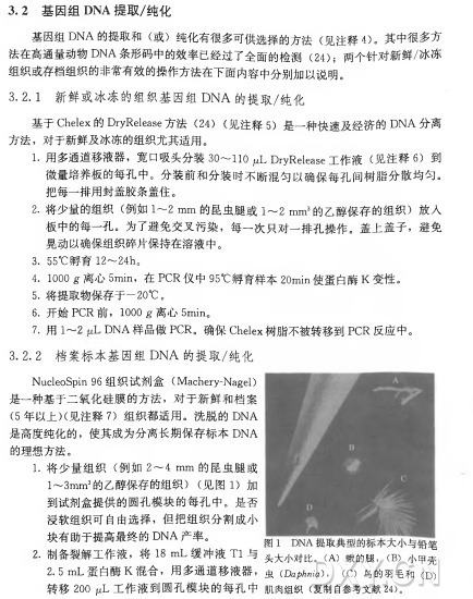 3_ 2. 1 新鲜或冰冻的组织基因组D N A 的提取/纯化 基于 Chelex的 DryRelease方 法 （2 4 ) ( 见注释5) 是一种快速及经济的D N A 分离 方法，对于新鲜及冰冻的组织尤其适用。 1•用多通道移液器，宽口吸头分装3〇 〜110 ^LDryRelease工 作 液 （ 见注 释 6 ) 到 微量培养板的每孔中。分装前和分装时不断混匀以确保每孔间树脂分散均匀。 把每一排用封盖胶条盖住。 2. 将少量的组织（ 例 如 1〜2 m m 的昆虫腿或1〜2 m m 3的乙醇保存的组织）放入 板中的每一孔。为了避免交叉污染，每一次只对一排孔操作。盖上盖子，避免 晃动以确保组织碎片保持在溶液中。 3. 55°C 孵育 12〜24h 。 4. IOOOg•离心5m i n，在 P C R 仪 中 95°C孵育样本20min使蛋白酶K 变性。 5•将提取物保存于一20°C 。 6•开始P C R 前 ， 1000名离心5m i n。 7•用1〜2 D N A 样品做P C R 。确 保 Chelex树脂不被转移到P C R 反应中。 3. 2 . 2 档案标本 基 因 组 D N A 的提取/纯化 NucleoSpin 96 组 织 试 剂 盒 （ Machery-Nagel) 是一种基于二氧化硅膜的方法，对于新鲜和档案 (5年以上)(见注释7 ) 组织都适用。洗脱的 D N A 是高度纯化的，使其成为分离长期保存标本D N A 的理想方法。 1 . 将 少 量 组 织 （ 例 如 2 〜4 m m 的昆虫腿或 1〜3m m 3的乙醇保存的组织） （ 见 图 1 ) 加 到试剂盒提供的圆孔模块的每孔中。是否 浸软组织可自由选择，但把组织分割成小 块有助于提高最终的D N A 产率。 2. 制备裂解工作液，将 18 m L 缓 冲 液 T l 与 头大小对比。 （ A) 蛾的腿， （ B) 小甲壳 2. 5 m L 蛋白酶K 混合，用多通道移液器，虫 （ Da^ „ ia) ， （ c ) 鸟的羽毛和① ) 转 移 200 ( LiL 工作液到圆孔模块的每孔中肌肉组织（ 复制自参考文献24)。