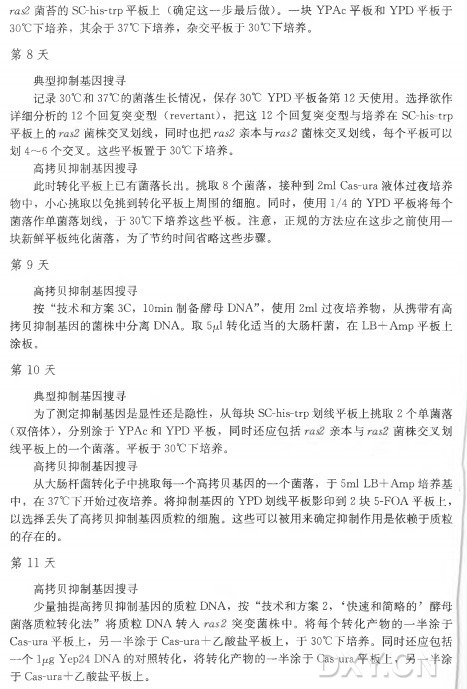 ras2 菌苔的SC-his-trp平 板 上 （ 确定这一步最后做）。一 块 YPAc平 板 和 YPD平板于 3〇 °C下培养，其余于37°C下培养，杂交平板于30°C下培养。 第 8 天 典型抑制基因搜寻 记 录 30°C和 37°C的菌落生长情况，保 存 30°CYPD平板备第12天使用。选择欲作 详细分析的12个 回 复 突 变 型 （ revertant)，把 这 12个回复突变型与培养在SC-his-trp 平 板 上 的 菌 株 交 叉 划 线 ，同时也把r a d 亲本与r a d 菌株交叉划线，每个平板可以 划 4〜6 个交叉。这些平板置于30°C下培养。 高拷贝抑制基因搜寻 此时转化平板上已有菌落长出。挑 取 8 个菌落，接种到2mlCaS-um 液体过夜培养 物中，小心挑取以免挑到转化平板上周围的细胞。同时，使 用 1/4的 Y PD 平板将每个 菌落作单菌落划线，于 30°C下培养这些平板。注意，正规的方法应在这步之前使用一 块新鲜平板纯化菌落，为了节约时间省略这些步骤。 第 9 天 高拷贝抑制基因搜寻 按 “技术和方案3C， lOmin制备酵母DNA” ，使 用 2m l过夜培养物，从携带有高 拷贝抑制基因的菌株中分离DNA。取 5^1转化适当的大肠杆菌，在 LB+ Amp平板上 涂板。 第 1 0 天 典型抑制基因搜寻 为了测定抑制基因是显性还是隐性，从每块SC-his-trp划线平板上挑取2 个单菌落 (双倍体）， 分别涂于Y PA c和 Y P D 平板，同 时 还 应 包 括 亲 本 与 菌 株 交 叉 划 线平板上的一个菌落。平板于30°C下培养。 高拷贝抑制基因搜寻 从大肠杆菌转化子中挑取每一个高拷贝基因的一个菌落，于 5ml LB+ Amp培养基 中，在 37°C下开始过夜培养。将抑制基因的YPD 划线平板影印到2 块 5-F0 A 平板上， 以选择丢失了高拷贝抑制基因质粒的细胞。这些可以被用来确定抑制作用是依赖于质粒 的存在的。 第 1 1 天 高拷贝抑制基因搜寻 少量抽提高拷贝抑制基因的质粒DNA，按 “技术和方案2， ‘ 快速和简略的’ 酵母 菌落质粒转化法”将 质 粒 D N A转 人 突 变 菌 株 中 。将每个转化产物的一半涂于 Cas-um平板上，另一半涂于Cas-ura+ 乙酸盐平板上，于 30°C下培养。同时还应包括 一 个 ljugYep2 4 D N A的对照转化，将转化产物的一半涂于Cas-ura平板上，另一半涂 于 Cas-ura+ 乙酸盐平板上。实 验 八 抑 制 基 因 的 分 离 