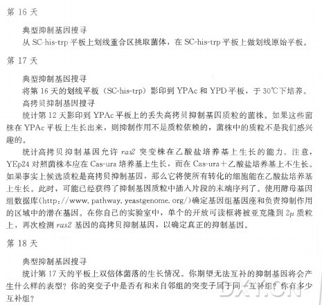 第 1 6 天 典型抑制基因搜寻 从 SC-h1S-trp平板上划线重合区挑取菌体，在 SC-his-trp平板上做划线原始平板。 第 1 7 天 典型抑制基因搜寻 将 第 16天的划线平板（ SC-his-trp) 影印到Y P A c和 YPD 平板，于 30°C下培养。 高拷贝抑制基因搜寻 统计第12天影印到Y PA c平板上的丢失高拷贝抑制基因质粒的菌株。如果这些菌 株在YPA c平板上生长出来，则抑制作用不是质粒依赖的，菌株中的质粒不是我们感兴 趣的。 统计高拷贝抑制基因允许m泛 突 变 株 在 乙 酸 盐 培 养 基 上 生 长 的 能 力 。注意， YEp24对照菌株本应在Cas-um培养基上生长，而在CaS-ura+ 乙酸盐培养基上不生长。 如果事实上候选质粒是高拷贝抑制基因，那么它将使所有转化的细胞能在乙酸盐培养基 上生长。此时，可能已经获得了抑制基因质粒中插入片段的末端序列了。使用酵母基因 组数据库(http://www.pathway,yeastgenome.org/)确定基因组基因座和负责抑制作用 的区域中的潜在基因。在你自己的实验室中，单个的幵放可读框将被亚克隆到2ju质粒 上 ，再 次 检 测 基 因 的 高 拷 贝 抑 制 基 因 ，以确定真正的抑制基因。 第 1 8 天 典型抑制基因搜寻 统计第17天的平板上双倍体菌落的生长情况。你期望无法互补的抑制基因将会产 生什么样的表型？你的突变子中是否有和来自邻组的突变子属于同一互补组？你有多少 互补组？