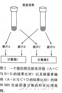 ( A + C 与 # B + D ( A + B # e 的 结 果 ：比 对 + D W） _ 以及■泖遣者偏 t w ) _ 外 M N 实 验 的 最 合 理 的 样 本 处 理 流 程