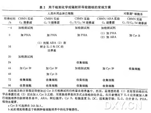 此 处 提 及 的 方 案 假 定 即 使 加 过Cyt B后 检 测 试 剂 仍 然 留 在 培 养 基 中 。然 而 ，最 理 想 的 是 （1 ) 在 短 暂 的 检 测 化 学 品 暴 露 后 或 （2 ) 就 在 加 人Cyt B之 前 ，用 更 换 培 养 基 的 方 式 去 除 检 测 化 学 品 。在 后 者 情 况 下IL - 2 应 该 被 加 人 淋 巴 细 胞 培 养 的 新 鲜 培 养 基 中 。 ARA , 阿 糖 胞 苷 ； CytB, 松 胞 菌 素 B ; DC , 脱 氧 胞 苷 酸 ； IL - 2 , 白介素-2; PHA ， 植 物 血 凝 素 。 a Cyt B可 选 择 在 24h加 入 。 b此 处 理 流 程 最 适 于 检 测 肿 瘤 细 胞 培 养 中 的 化 学 敏 感 性