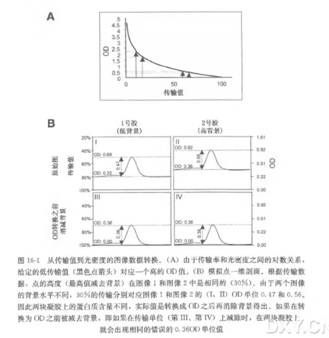 二维凝胶的定量分析
