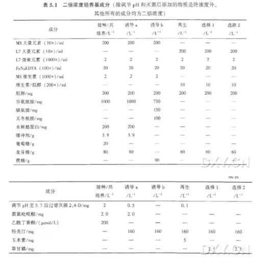 农杆菌介导的小麦新鲜离体幼胚的转化实验-胚性愈伤的诱导和再生