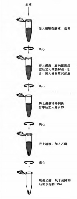 A1440154594png_small.jpg