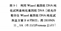 B1440152869png_small.jpg