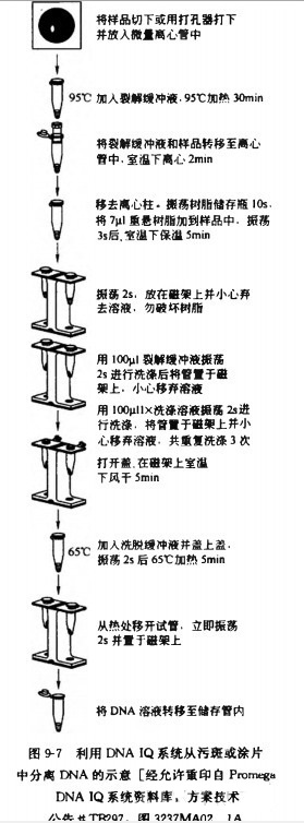 B1440404613png_small.jpg