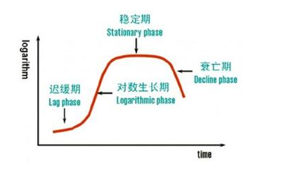 细菌生长曲线的测定及其意义